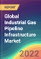 Global Industrial Gas Pipeline Infrastructure Market Analysis: Plant Capacity, Production, Operating Efficiency, Technology, Demand & Supply, End-User Industries, Distribution Channel, Regional Demand, 2015-2030 - Product Image