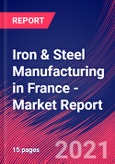 Iron & Steel Manufacturing in France - Industry Market Research Report- Product Image