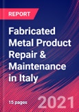 Fabricated Metal Product Repair & Maintenance in Italy - Industry Market Research Report- Product Image