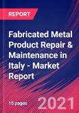 Fabricated Metal Product Repair & Maintenance in Italy - Industry Market Research Report- Product Image