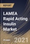 LAMEA Rapid Acting Insulin Market By Product Type, By Indication, By Distribution Channel, By Country, Growth Potential, Industry Analysis Report and Forecast, 2021 - 2027 - Product Thumbnail Image