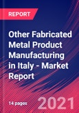 Other Fabricated Metal Product Manufacturing in Italy - Industry Market Research Report- Product Image