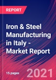Iron & Steel Manufacturing in Italy - Industry Market Research Report- Product Image