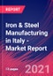 Iron & Steel Manufacturing in Italy - Industry Market Research Report - Product Thumbnail Image