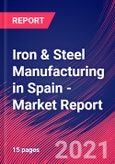 Iron & Steel Manufacturing in Spain - Industry Market Research Report- Product Image