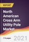 North American Cross Arm Utility Pole Market Report: Trends, Forecast and Competitive Analysis - Product Image