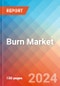 Burn - Market Insights, Competitive Landscape and Market Forecast-2027 - Product Thumbnail Image