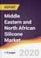 Middle Eastern and North African Silicone Market Report: Trends, Forecast and Competitive Analysis - Product Thumbnail Image