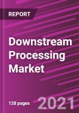 Downstream Processing Market Share, Size, Trends, Industry Analysis Report, By Technique; By Product; By Application; By Regions; Segment Forecast, 2021 - 2028- Product Image