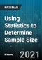 6-Hour Virtual Seminar on Using Statistics to Determine Sample Size - Webinar - Product Image