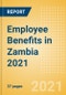 Employee Benefits in Zambia 2021 - Product Thumbnail Image