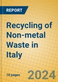 Recycling of Non-metal Waste in Italy- Product Image