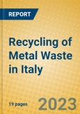 Recycling of Metal Waste in Italy- Product Image