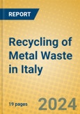 Recycling of Metal Waste in Italy- Product Image