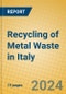 Recycling of Metal Waste in Italy - Product Thumbnail Image