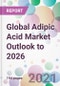 Global Adipic Acid Market Outlook to 2026 - Product Thumbnail Image
