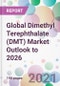 Global Dimethyl Terephthalate (DMT) Market Outlook to 2026 - Product Thumbnail Image