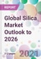 Global Silica Market Outlook to 2026 - Product Image