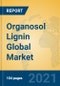 Organosol Lignin Global Market Insights 2021, Analysis and Forecast to 2026, by Manufacturers, Regions, Technology, Application, Product Type - Product Image