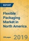Flexible Packaging Market in North America - Industry Outlook and Forecast 2019-2024 - Product Thumbnail Image