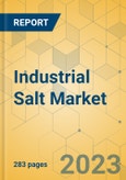 Industrial Salt Market - Global Outlook & Forecast 2023-2028- Product Image