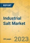 Industrial Salt Market - Global Outlook & Forecast 2023-2028 - Product Image