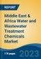 Middle East & Africa Water and Wastewater Treatment Chemicals Market By Application (Power, Oil & Gas, & Others), By Type (Coagulants & Flocculants, pH Adjusters & Softeners & Others), By Country, Competition Forecast & Opportunities, 2013-2027 - Product Thumbnail Image
