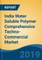 India Water Soluble Polymer Comprehensive Techno-Commercial Market Analysis and Forecast, 2013-2030 - Product Thumbnail Image