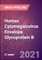 Human Cytomegalovirus Envelope Glycoprotein B (gB) - Drugs In Development, 2021 - Product Thumbnail Image
