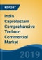 India Caprolactam Comprehensive Techno-Commercial Market Analysis and Forecast, 2013-2030 - Product Thumbnail Image