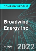 Broadwind Energy Inc (BWEN:NAS): Analytics, Extensive Financial Metrics, and Benchmarks Against Averages and Top Companies Within its Industry- Product Image