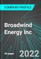 Broadwind Energy Inc (BWEN:NAS): Analytics, Extensive Financial Metrics, and Benchmarks Against Averages and Top Companies Within its Industry - Product Thumbnail Image