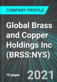 Global Brass and Copper Holdings Inc (BRSS:NYS): Analytics, Extensive Financial Metrics, and Benchmarks Against Averages and Top Companies Within its Industry- Product Image
