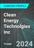 Clean Energy Technolgies Inc (CETY:PINX): Analytics, Extensive Financial Metrics, and Benchmarks Against Averages and Top Companies Within its Industry- Product Image