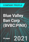 Blue Valley Ban Corp (BVBC:PINX): Analytics, Extensive Financial Metrics, and Benchmarks Against Averages and Top Companies Within its Industry- Product Image