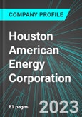 Houston American Energy Corporation (HUSA:ASE): Analytics, Extensive Financial Metrics, and Benchmarks Against Averages and Top Companies Within its Industry- Product Image