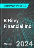 B Riley Financial Inc (RILY:NAS): Analytics, Extensive Financial Metrics, and Benchmarks Against Averages and Top Companies Within its Industry- Product Image