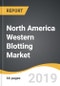 North America Western Blotting Market 2019-2027 - Product Thumbnail Image