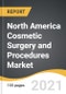 North America Cosmetic Surgery and Procedures Market 2021-2028 - Product Image