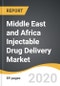 Middle East and Africa Injectable Drug Delivery Market 2019-2028 - Product Thumbnail Image