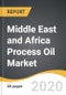 Middle East and Africa Process Oil Market 2019-2027 - Product Thumbnail Image