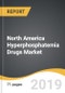 North America Hyperphosphatemia Drugs Market 2019-2027 - Product Thumbnail Image