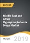 Middle East and Africa Hyperphosphatemia Drugs Market 2019-2027 - Product Thumbnail Image