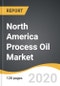 North America Process Oil Market 2019-2027 - Product Thumbnail Image