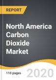 North America Carbon Dioxide Market 2019-2028- Product Image