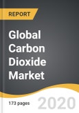 Global Carbon Dioxide Market 2019-2028- Product Image