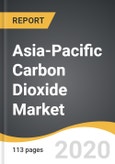 Asia-Pacific Carbon Dioxide Market 2019-2028- Product Image