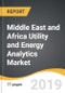 Middle East and Africa Utility and Energy Analytics Market 2019-2027 - Product Thumbnail Image
