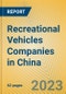 Recreational Vehicles Companies in China - Product Thumbnail Image
