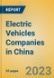 Electric Vehicles Companies in China - Product Image